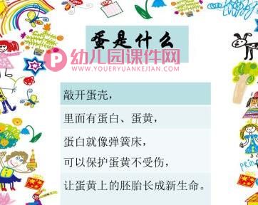 中班科学课件PPT《三色蛋-蛋是什么？》PPT课件图片