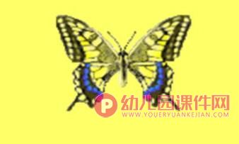 中班科学课件PPT《蝴蝶从哪里来？》PPT课件图片