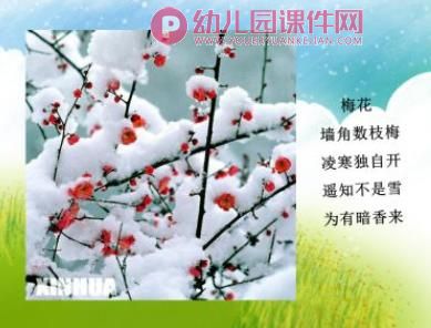 中班科学课件PPT《秋冬的树》PPT课件图片
