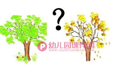 中班科学活动课件PPT《秋天的树》PPT课件图片