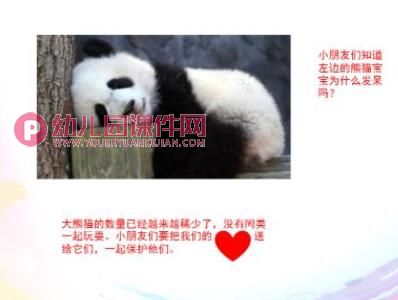 中班科学课件PPT《国宝大熊猫》PPT课件图片