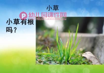 中班科学课件PPT《植物过冬》PPT课件图片