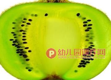 中班科学活动课件PPT《种子在哪里》PPT课件图片