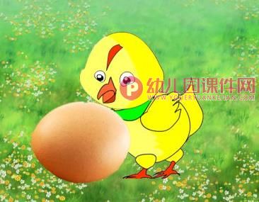 中班科学课件PPT《小鸡出壳了》PPT课件图片