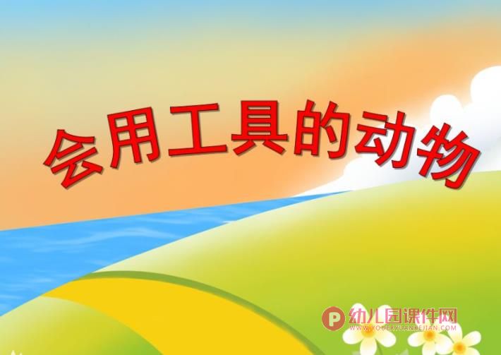 中班科学课件PPT《会使用工具的动物》PPT课件图片