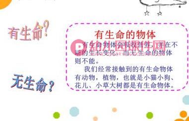 中班科学课件PPT《有生命和无生命的物体》PPT课件图片