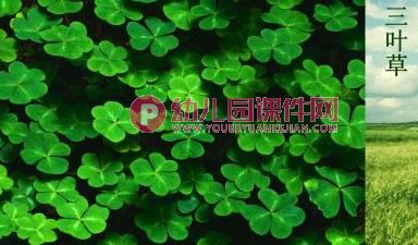 中班科学课件PPT《草长在哪里》PPT课件图片