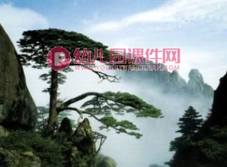 中班科学课件PPT《秋冬的树》PPT课件图片