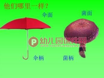 中班科学课件PPT《大蘑菇》PPT课件图片
