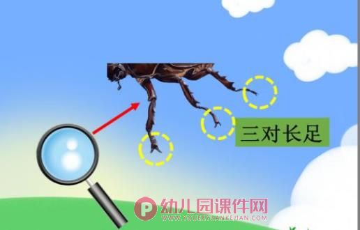 中班科学课件PPT《神奇的圆形》PPT课件图片