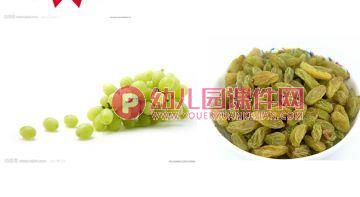 中班科学活动课件PPT《水果和水果干》PPT课件图片