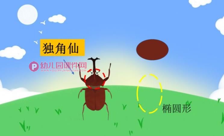 中班科学课件PPT《神奇的圆形》PPT课件图片