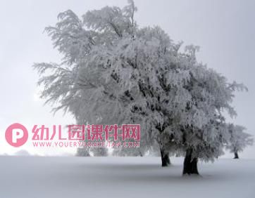 中班科学课件PPT《冬天的树》PPT课件图片