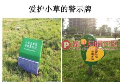 中班科学课件PPT《青青小草》PPT课件图片