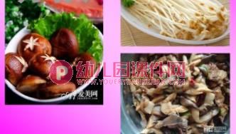 中班科学课件PPT《大蘑菇》PPT课件图片