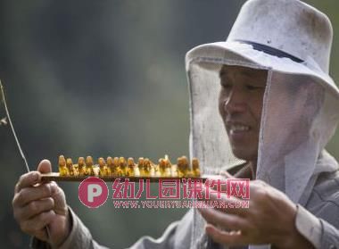 中班科学课件PPT《蜂蜜果汁》PPT课件图片