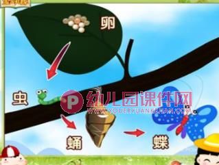 中班科学课件PPT《蝴蝶从哪里来？》PPT课件图片