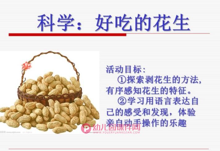 中班科学课件PPT《好吃的花生》PPT课件图片