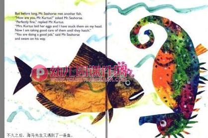 中班科学课件PPT《海马爸爸生宝宝》PPT课件图片