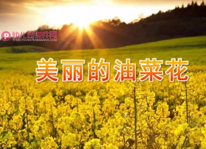 中班美术手指点画课件PPT《美丽的油菜花》PPT课件图片