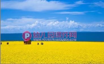 中班美术手指点画课件PPT《美丽的油菜花》PPT课件图片