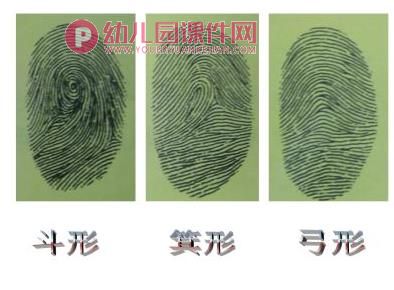 中班美术活动课件PPT《有趣的指纹》PPT课件图片