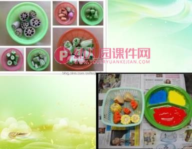 中班美术课件PPT《美丽的花卉》PPT课件图片