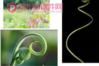 中班美术课件PPT《跳舞的藤蔓》PPT课件图片