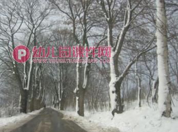 中班美术课件PPT《马路边的树》PPT课件图片