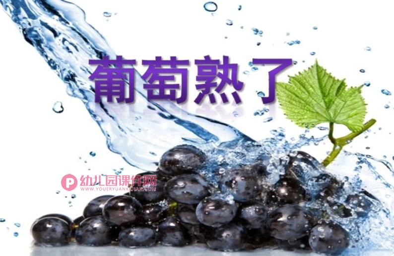 中班美术说课稿课件PPT《葡萄熟了》PPT课件图片