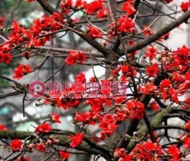 中班绘画课件PPT《路边的树》PPT课件图片