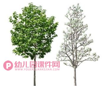 中班美术课件PPT《长长的街树》PPT课件图片