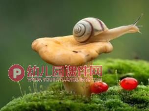 中班美术课件PPT《手指点画-蜗牛》PPT课件图片