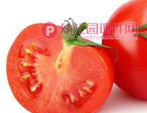 中班美术课件PPT《蔬菜印章》PPT课件图片