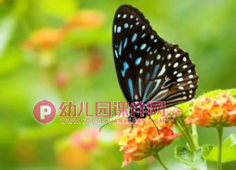 中班美术课件PPT《美丽的春天》PPT课件图片