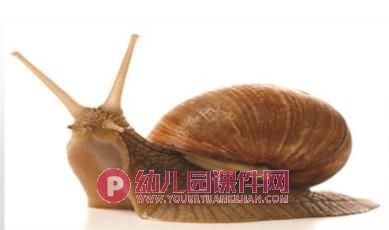 中班美术课件PPT《手指点画-蜗牛》PPT课件图片