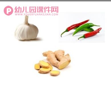 中班美术课件PPT《有趣的味觉表情》PPT课件图片