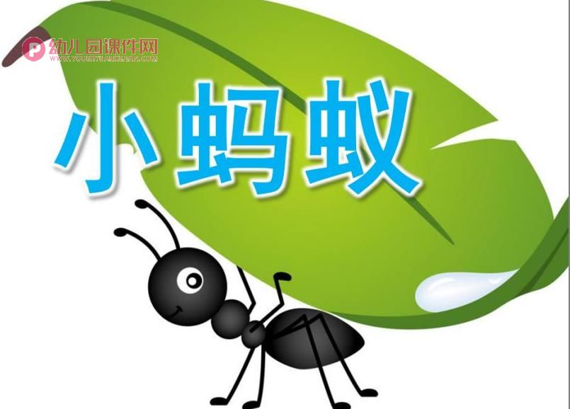 中班美术课件PPT《小蚂蚁》PPT课件图片