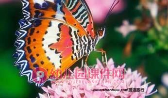 中班美术课件PPT《借形添画》PPT课件图片