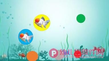中班美术课件PPT《鱼卵宝宝找朋友》PPT课件图片