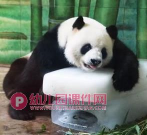 中班美术印画课件PPT《夏天的风景》PPT课件图片