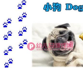 中班美术活动课件PPT《画画脚印》PPT课件图片
