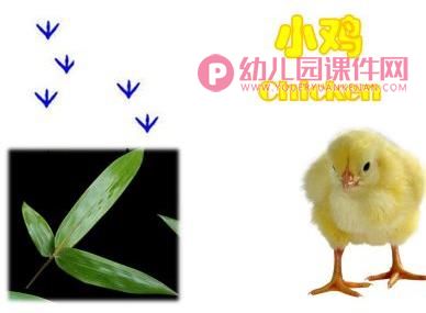 中班美术活动课件PPT《画画脚印》PPT课件图片