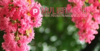 中班美术课件PPT《马路边的树》PPT课件图片