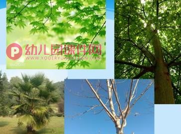 中班手工课件PPT《幸福树》PPT课件图片