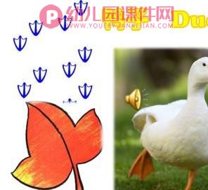 中班美术活动课件PPT《画画脚印》PPT课件图片