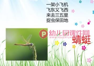 中班美术课件PPT《小蜻蜓》PPT课件图片