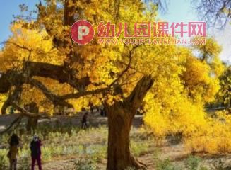 中班美术课件PPT《马路边的树》PPT课件图片