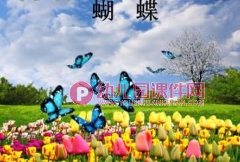 中班美术课件PPT《蝴蝶》PPT课件图片