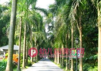 中班美术课件PPT《马路边的树》PPT课件图片